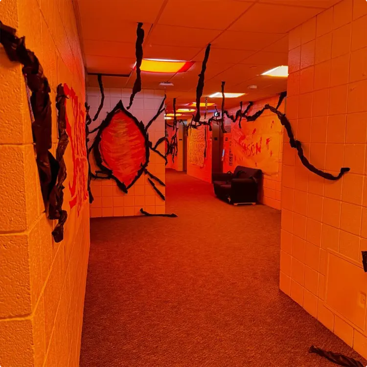Paper Spiders in a Bold Takeover