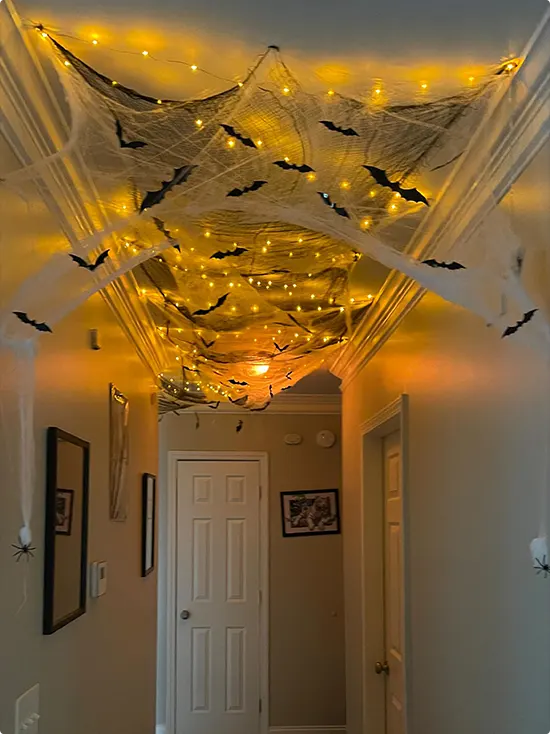 Twinkling Spiderweb Ceiling