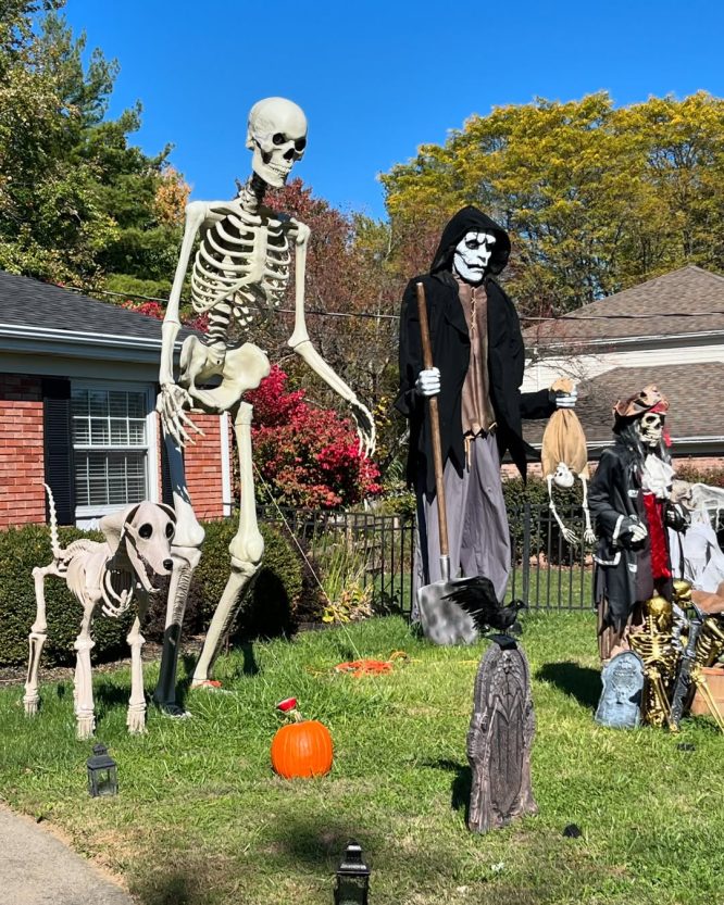 Bone Dog Skeleton Family