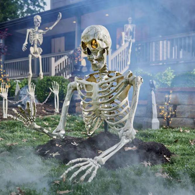 Crawling Skeleton on the Lawn