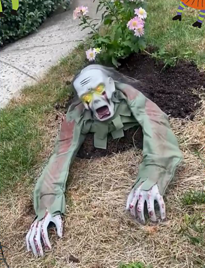 Crawling Zombie in a Flower Bed