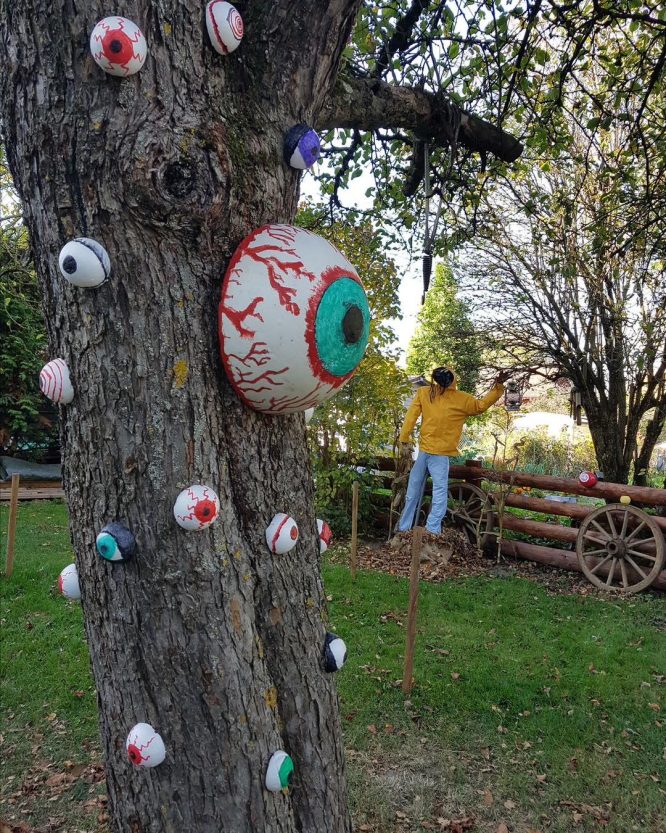 Giant Eyeball Tree Bark Display