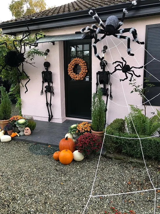 Giant Spider and Skeleton Display