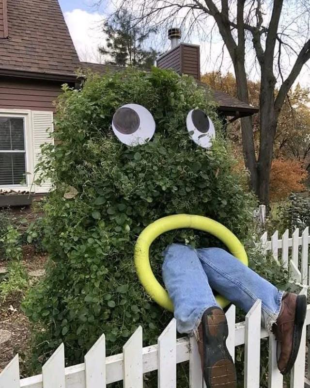 Hedge Monster Fence Display